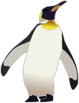 penguin